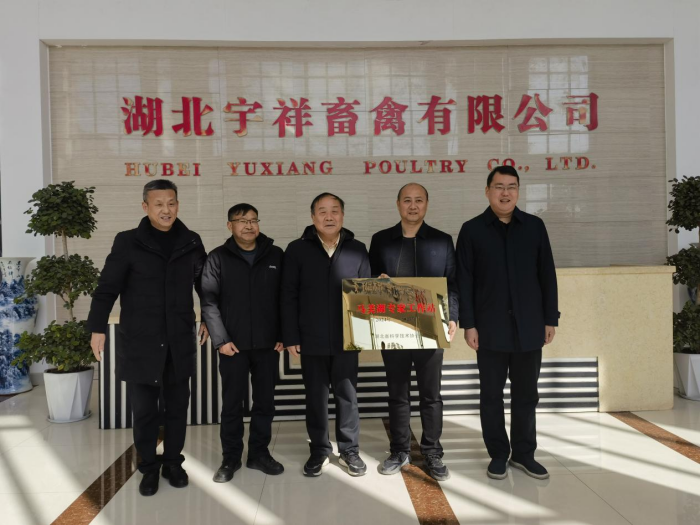 图片2(1).png
