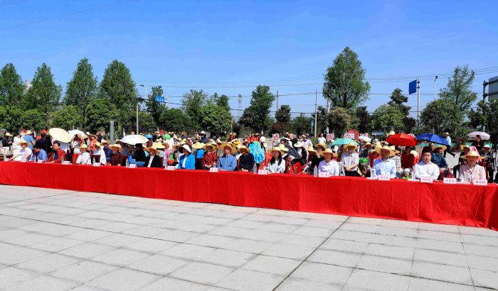 图片 3.jpg
