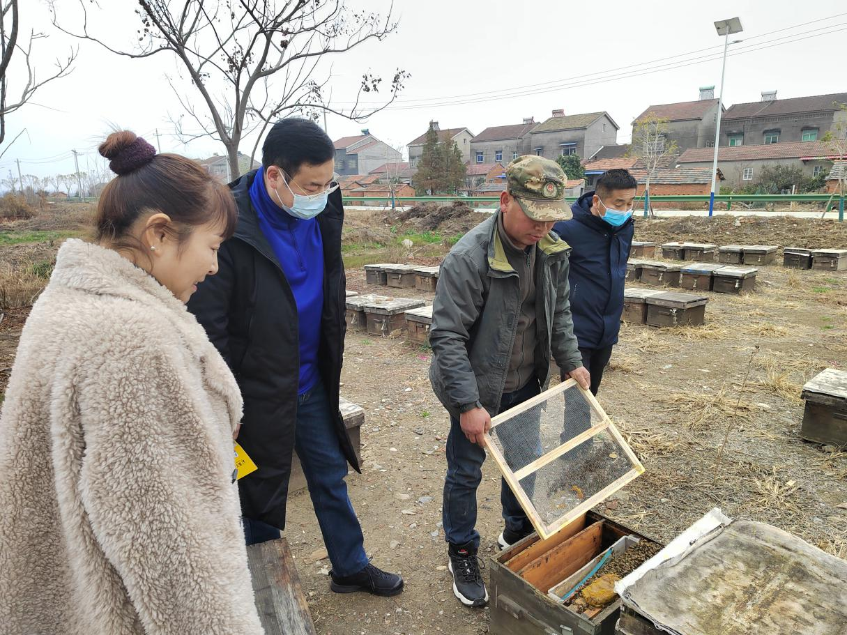 沙市区科协到荆州市振飞养蜂专业合作社开展走访调研1.png