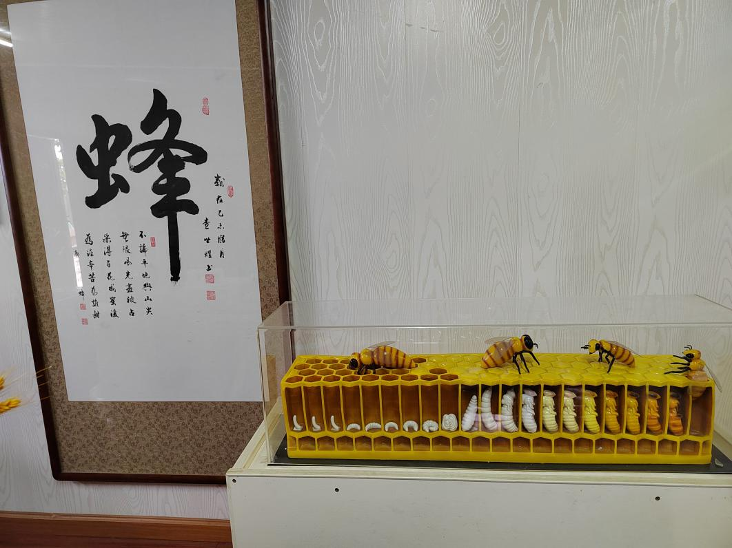 沙市区科协到荆州市振飞养蜂专业合作社开展走访调研2.png